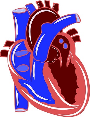 Omega 3 och Hjärt och kärlsjukdomar